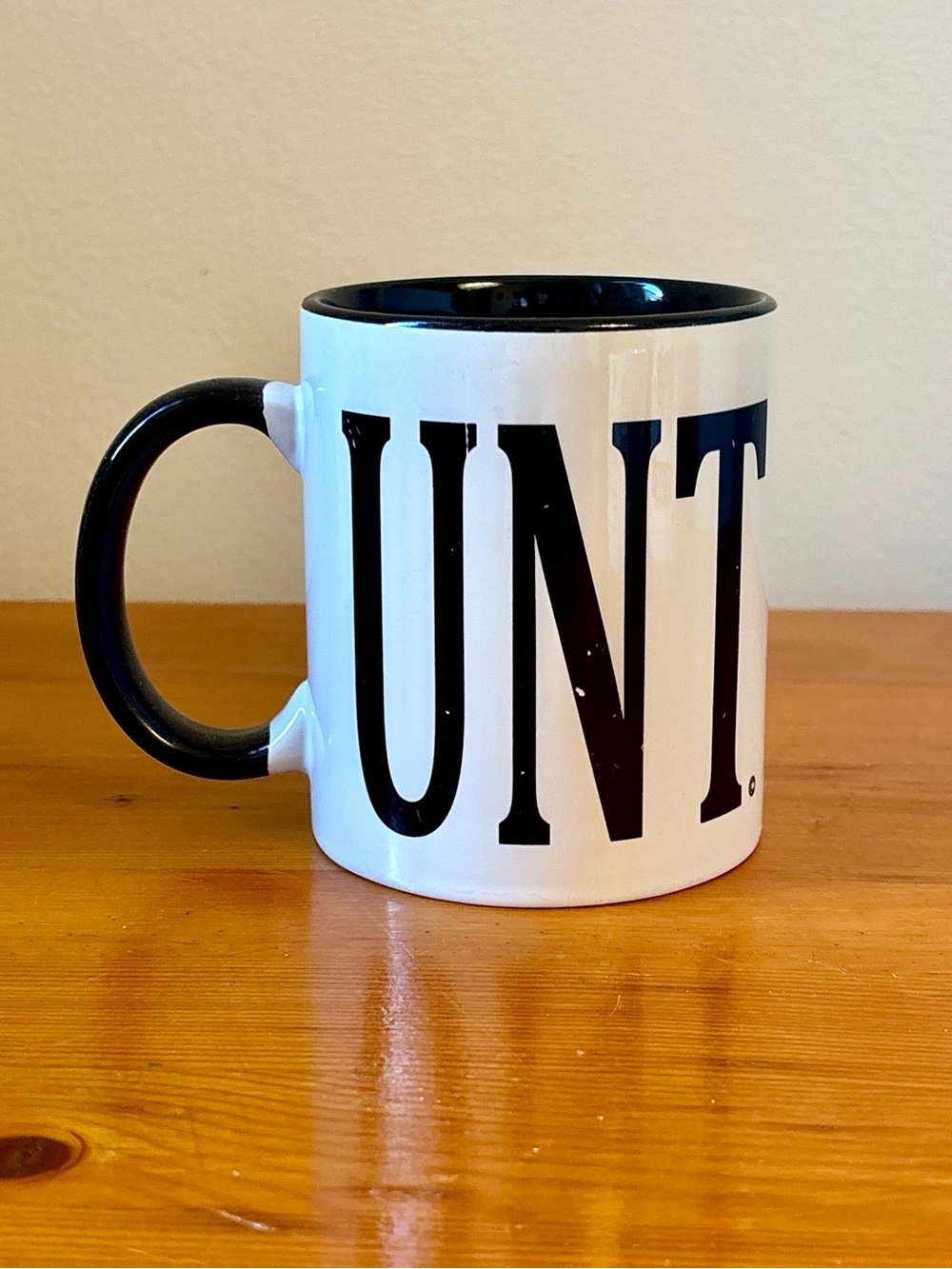 Novelty UNT Ceramic Mug